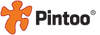 Pintoo