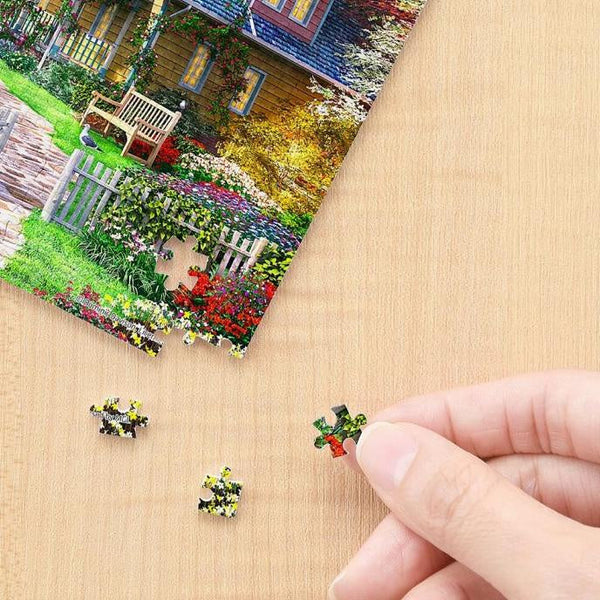 Pintoo - Showpiece Xs - Dominic Davison Sea House Plastic Jigsaw Puzzle (368 Pieces)