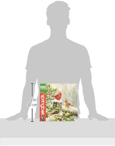 Springbok Puzzles - Winter Visitors Jigsaw Puzzle - 1000 Pieces - 30