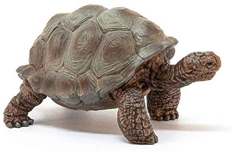 Schleich 14824 Giant Tortoise Figurine
