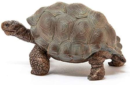 Figura De Tortuga Gigante Schleich – Réplica Detallada De 3,7 X 7,2 X 3,8 Cm – Juguete Educativo Para Niños De 3+ Años – Colección WILD LIFE