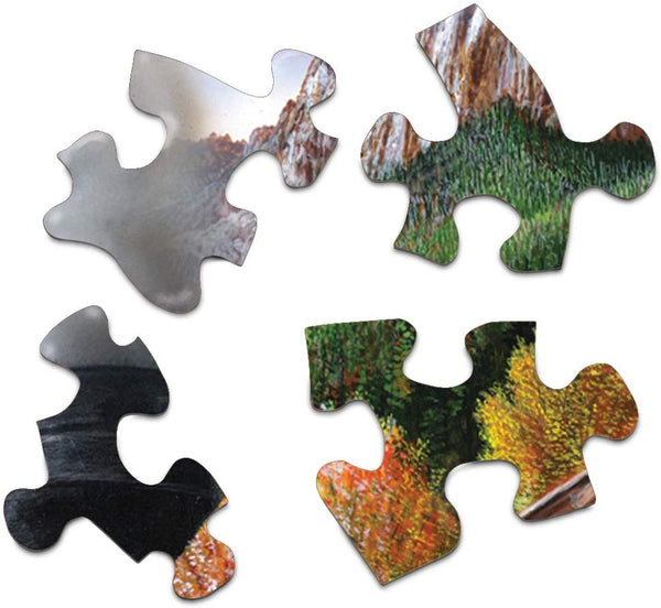 Springbok Mountain Express Jigsaw Puzzle (1000 Piece)