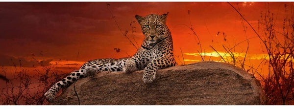 Heye - Panorama, Red Dawn Jigsaw Puzzle (2000 Pieces)