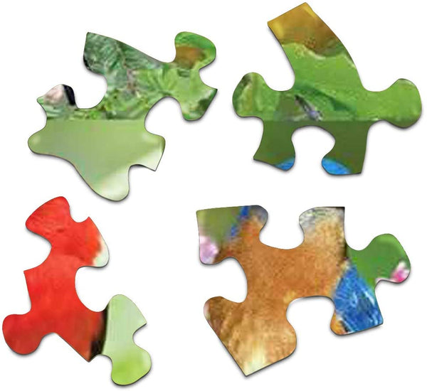 Springbok Birds of a Feather Jigsaw Puzzle (500 Piece)