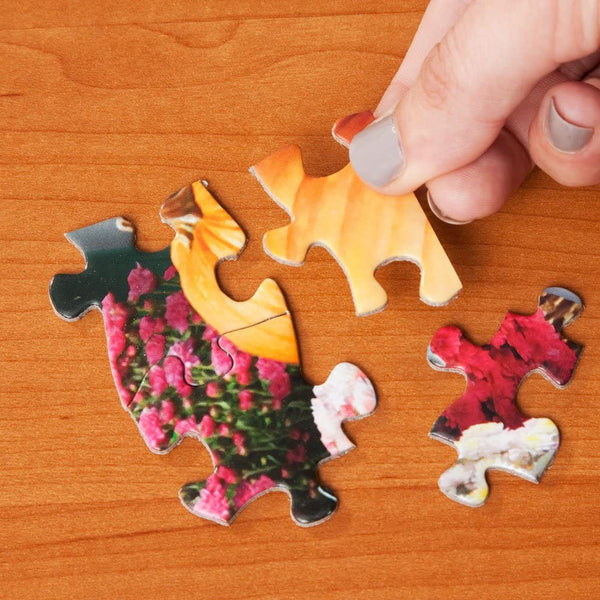 Bits and Pieces - Little Cat Nap by Larry Jones Jigsaw Puzzle (300 Pieces)
