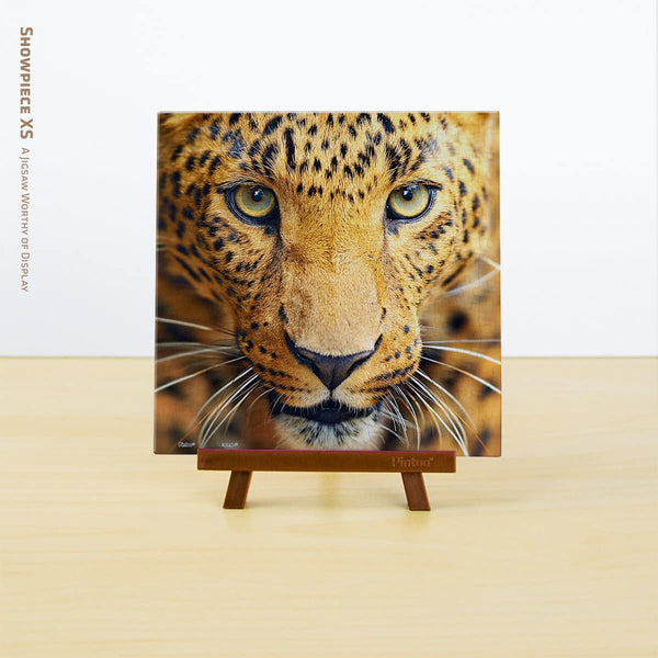 Pintoo - Close up Leopard Showpieces XS Plastic Jigsaw Puzzle (256 Pieces)
