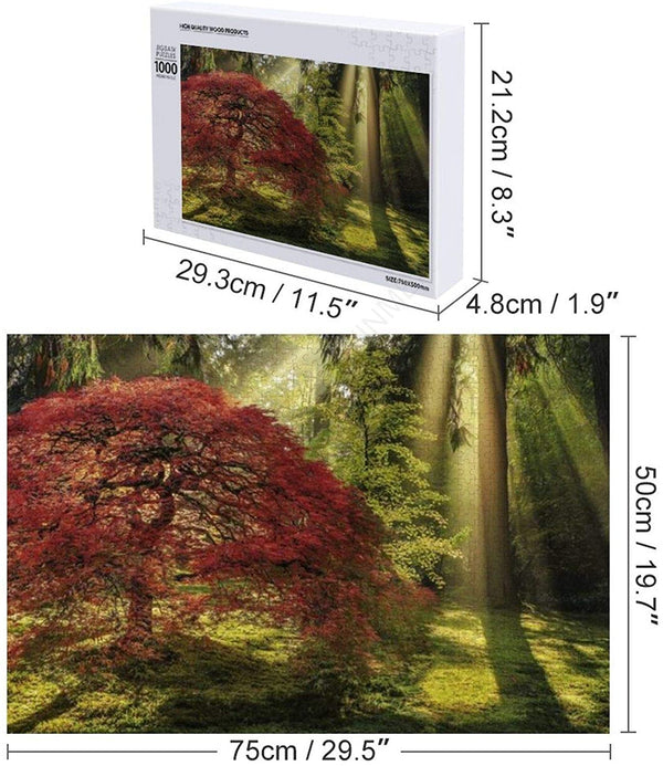 Heye - Magic Forests, Guiding Light Jigsaw Puzzle (1000 Pieces)