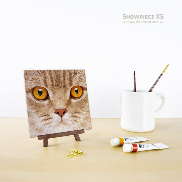 Pintoo - Close up Cat Showpieces XS Plastic Jigsaw Puzzle (256 Pieces)