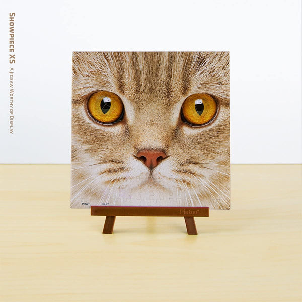Pintoo - Close up Cat Showpieces XS Plastic Jigsaw Puzzle (256 Pieces)