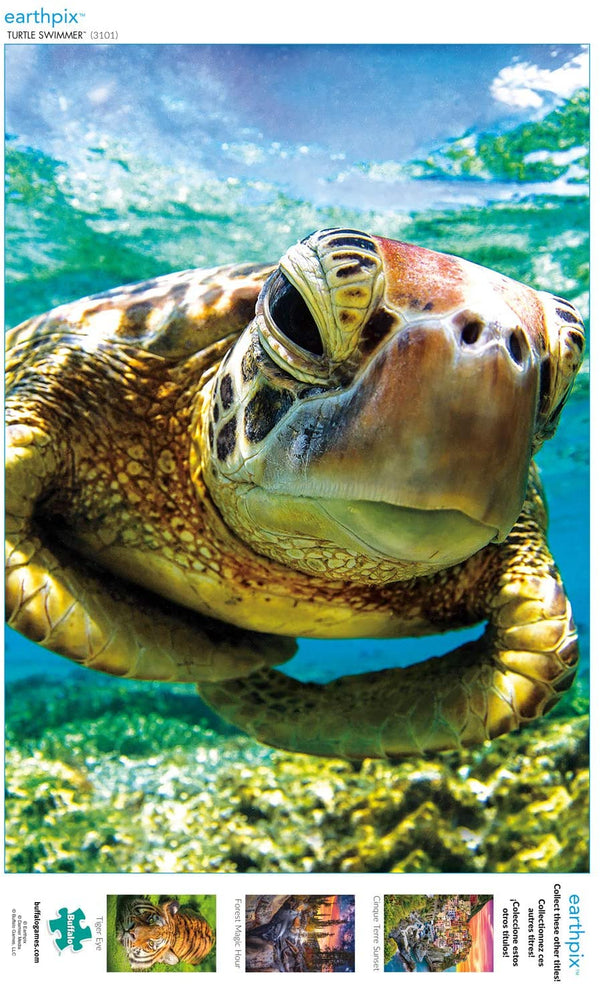 Buffalo Games - Earthpix - Turtle Swimmer - 500 Piece Jigsaw Puzzle