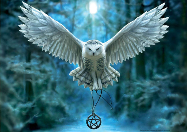 Educa - Awake Your Magic Jigsaw Puzzle (500 Pieces)