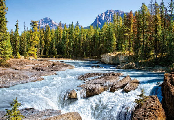 Castorland - Athabasca River, Jasper Canada Jigsaw Puzzle (1500 Pieces)