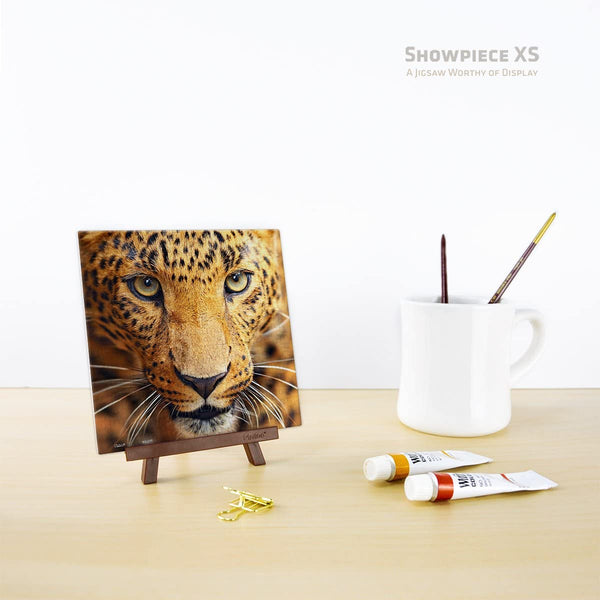 Pintoo - Close up Leopard Showpieces XS Plastic Jigsaw Puzzle (256 Pieces)