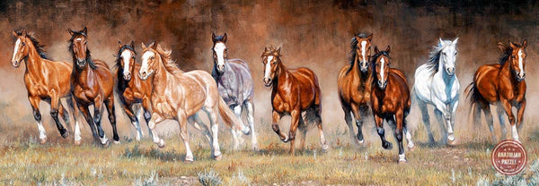 Anatolian - Free Time Panoramic Jigsaw Puzzle (1000 Pieces)