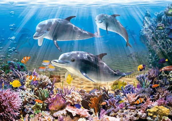 Castorland - Dolphins Underwater Jigsaw Puzzle (500 Pieces)