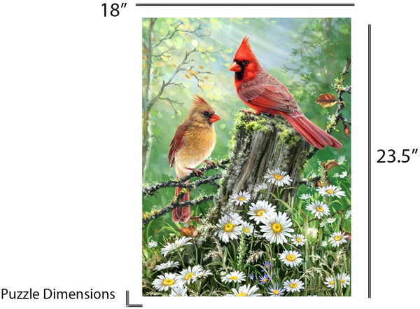 Springbok - Golden Light - 500 Piece Jigsaw Puzzle - Large 23.5