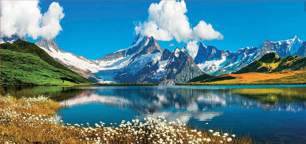 Educa - Pano Bachalpsee Lake Switzerland Jigsaw Puzzle (3000 Pieces)