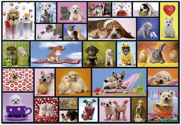 Educa - Shared Moments Jigsaw Puzzle (1000 Pieces)