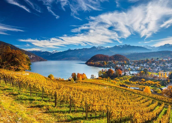 Schmidt - Vineyards Jigsaw Puzzle (2000 Pieces)