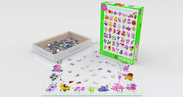 EuroGraphics - Language of Flowers Jigsaw Puzzle (1000 Pieces)