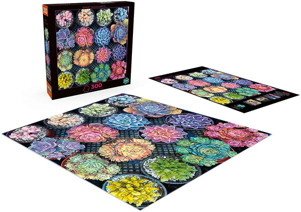 Buffalo Games - Photography - Sweet Succulents - 300 Large Piece Jigsaw Puzzle