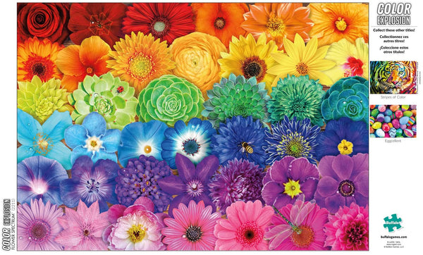 Buffalo Games - Color Explosion - Flower Spectrum - 300 Large Piece Jigsaw Puzzle