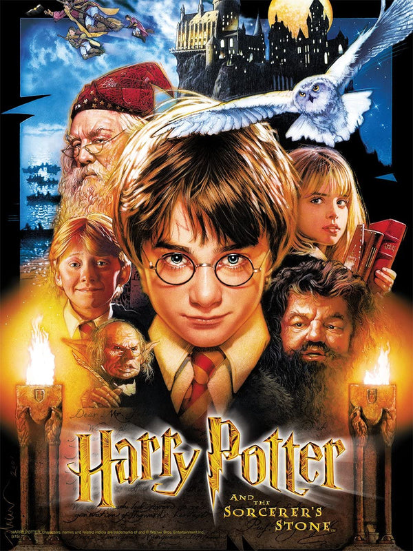 USAopoly Harry Potter and The Sorcerer's Stone Puzzle, 550 Piece