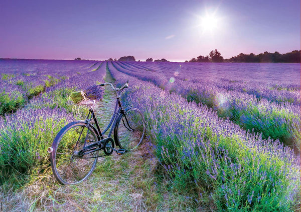 Educa - Bike In Lavendar Field Jigsaw Puzzle (1000 Pieces)