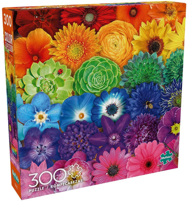 Buffalo Games - Color Explosion - Flower Spectrum - 300 Large Piece Jigsaw Puzzle