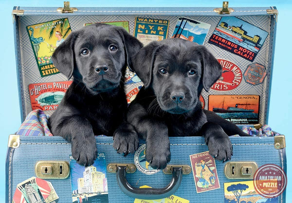 Anatolian - Travel Labs Jigsaw Puzzle (500 Pieces)