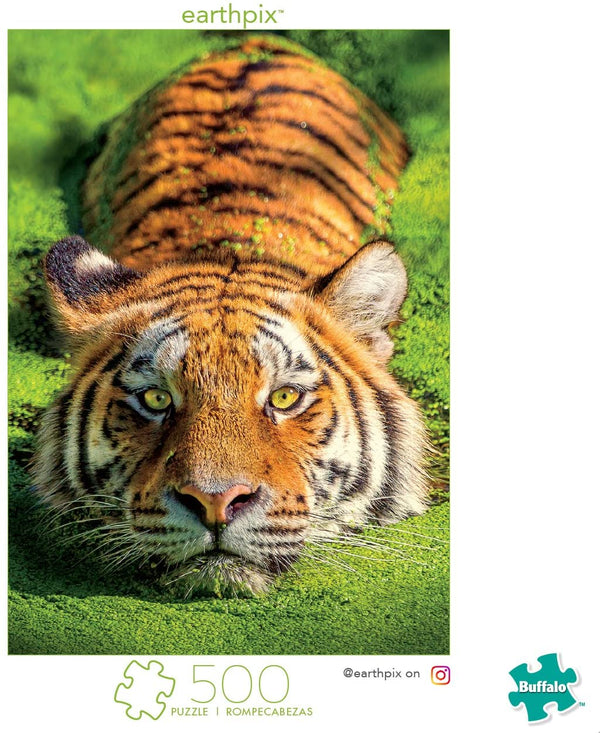 Buffalo Games - Earthpix Collection - Tiger Eyes - 500 Piece Jigsaw Puzzle
