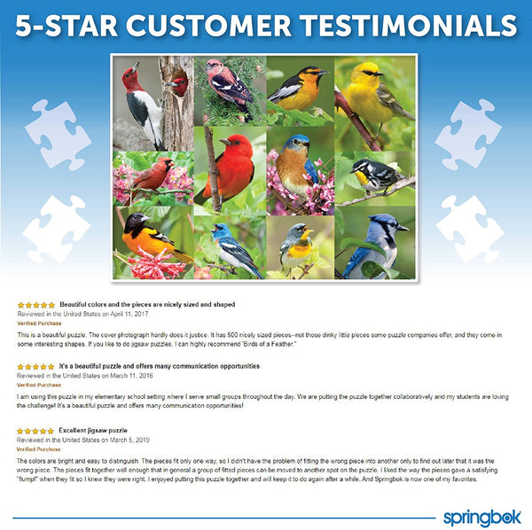 Springbok Birds of a Feather Jigsaw Puzzle (500 Piece)