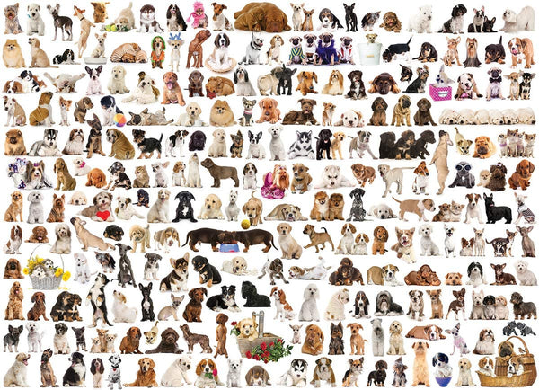 EuroGraphics - World Of Dogs Jigsaw Puzzle (1000 Pieces)