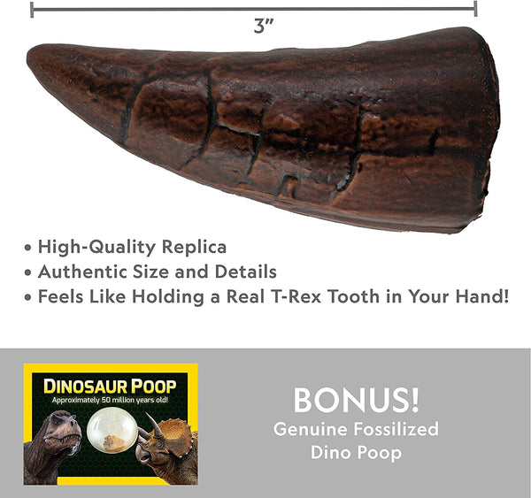 National Geographic - Dino Fossil Dig Kit