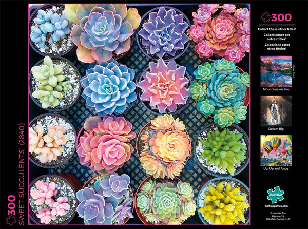 Buffalo Games - Photography - Sweet Succulents - 300 Large Piece Jigsaw Puzzle