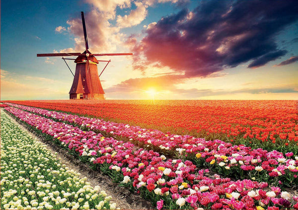 Educa - Tulips Landscape Jigsaw Puzzle (1500 Pieces)