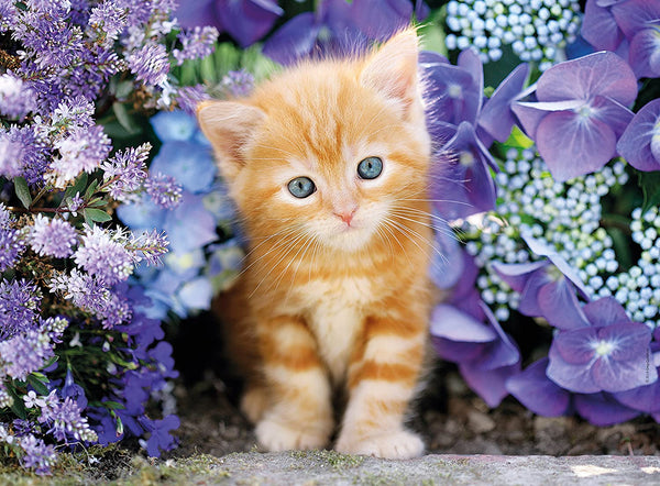 Clementoni - Ginger Cat in Flowers Jigsaw Puzzle (500 Pieces)