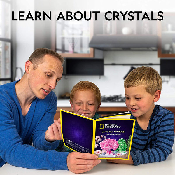 National Geographic - Crystal Garden Kit