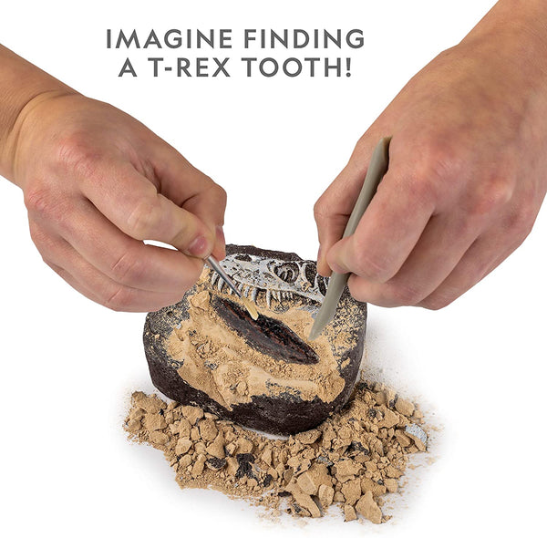 National Geographic - Dino Fossil Dig Kit