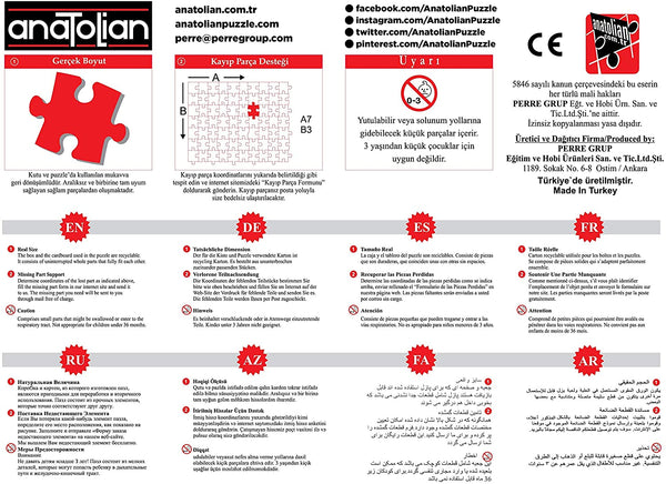 Anatolian - Dino Valley I Jigsaw Puzzle (260 Pieces)