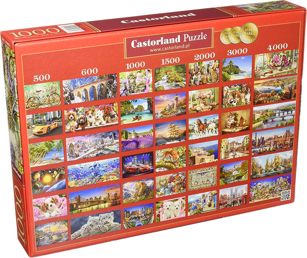 Castorland - The Flower Mart Jigsaw Puzzle (1000 Pieces)