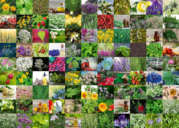 Ravensburger - 99 Herbs and Spices Jigsaw Puzzle (1000 Pieces)