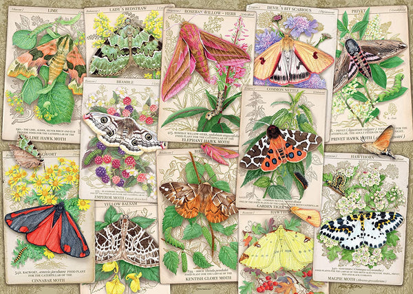 Ravensburger - Marvellous Moths Jigsaw Puzzle (1000 Pieces)