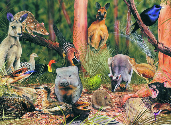 Blue Opal - Wild Australia On the Forest Floor 200 Pieces Puzzle BL01981