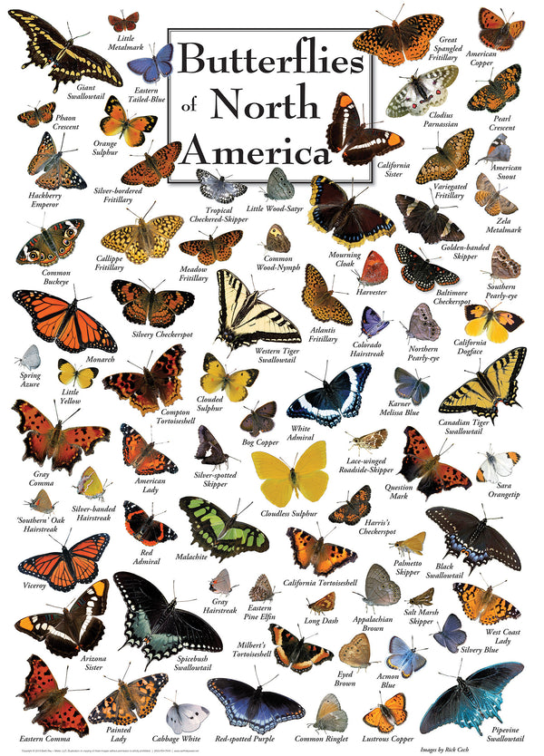 Masterpieces Puzzle Poster Art Butterflies of North America Puzzle 1,000 pieces