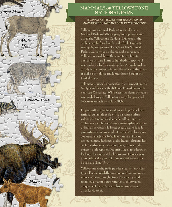 Masterpieces Puzzle Poster Art Mammals of Yellowstone National Park Puzzle 1,000 pieces