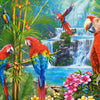 Castorland - Parrot Meeting Jigsaw Puzzle (2000 Pieces)