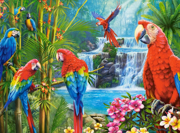 Castorland - Parrot Meeting Jigsaw Puzzle (2000 Pieces)