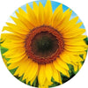 Educa - Sunflower Round Puzzle Jigsaw Puzzle (800 Pieces)