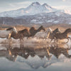 Schmidt - Horses In Cappadocia Jigsaw Puzzle (1000 Pieces)